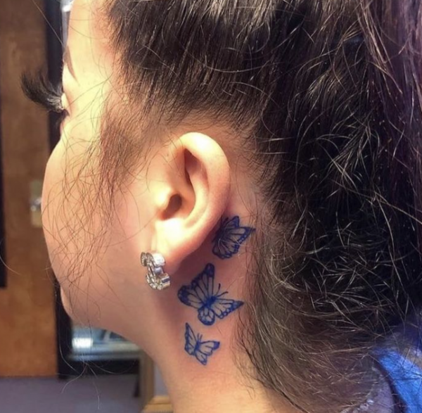 Gambar kupu-kupu yang anggun